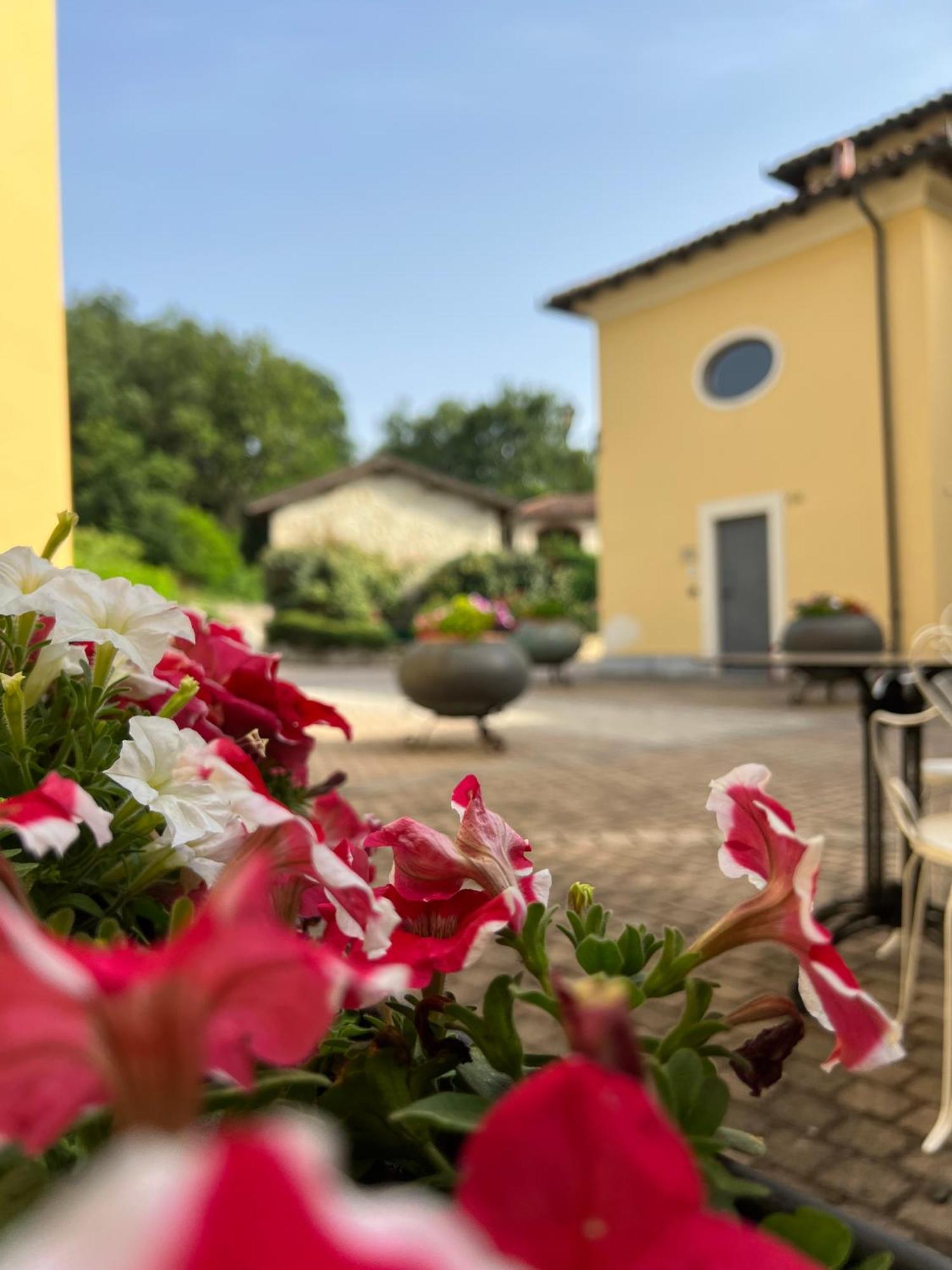 Gasthaus Casale Milleseicento Gavi Exterior foto